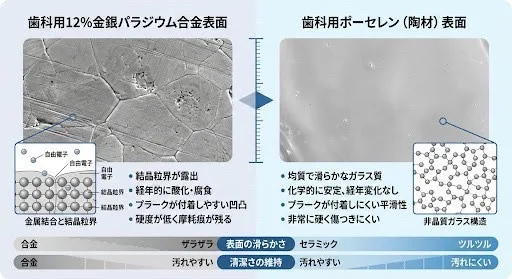 セラミックと銀座の顕微鏡比較